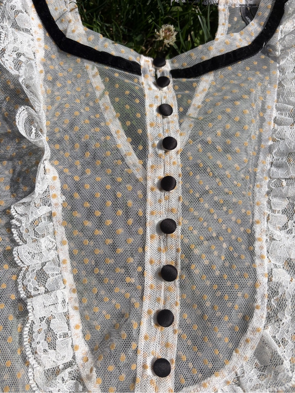 Anthropologie White Sheer Dot Mesh Top with Black Ties - Picture 4 of 6